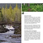 Fulufjellet Nationalpark - Fulufjellets National Parks - Is The Place Where Norway And Sweden Meet In A Large Protected Area * Ljordalen
