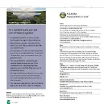 Fulufjellet Nationalpark - Fulufjellets National Parks - Is The Place Where Norway And Sweden Meet In A Large Protected Area Vakantiehuis Ljordalen