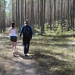 Fulufjellet Nationalpark Lodge - Fulufjellets National Parks - This Is The Place Where Norway And Sweden Meet In A Large Protected Area
