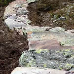 Fulufjellet Nationalpark - Fulufjellets National Parks - Is The Place Where Norway And Sweden Meet In A Large Protected Area Ljordalen