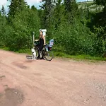 Fulufjellet Nationalpark Lodge - Fulufjellets National Parks - This Is The Place Where Norway And Sweden Meet In A Large Protected Area