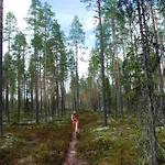 Ljøra Lodge Feriehus *