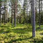 Vakantiehuis Fulufjellet Nationalpark - Fulufjellets National Parks - Is The Place Where Norway And Sweden Meet In A Large Protected Area *