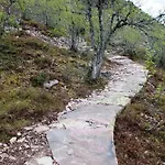 Fulufjellet Nationalpark - Fulufjellets National Parks - Is The Place Where Norway And Sweden Meet In A Large Protected Area *