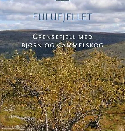 Fulufjellet Nationalpark - Fulufjellets National Parks - Is The Place Where Norway And Sweden Meet In A Large Protected Area Ljordalen