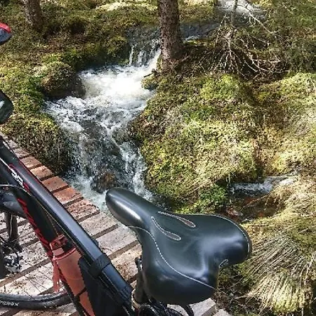 Fulufjellet Nationalpark - Of Nature And Peace Ljordalen