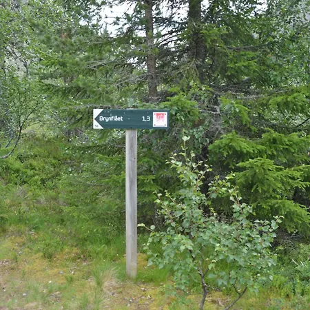 Fulufjellet Nationalpark - Fulufjellets National Parks - Is The Place Where Norway And Sweden Meet In A Large Protected Area Dom wakacyjny *