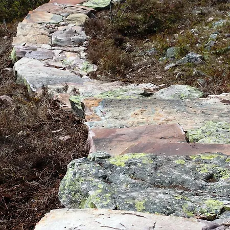 Fulufjellet Nationalpark - Fulufjellets National Parks - Is The Place Where Norway And Sweden Meet In A Large Protected Area Ljordalen