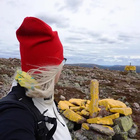 Fulufjellet Nationalpark - Fulufjellets National Parks - Is The Place Where Norway And Sweden Meet In A Large Protected Area Dom wakacyjny