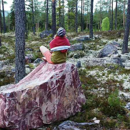 Fulufjellet Nationalpark - Fulufjellets National Parks - Is The Place Where Norway And Sweden Meet In A Large Protected Area Ljordalen