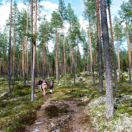 Dom wakacyjny Fulufjellet Nationalpark - Fulufjellets National Parks - Is The Place Where Norway And Sweden Meet In A Large Protected Area Ljordalen