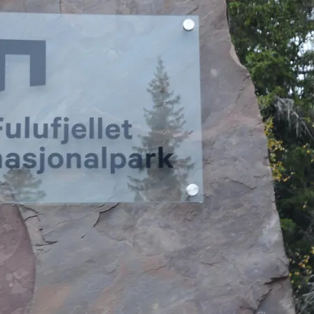 Winter At Fulufjellet National Park Ferienhaus
