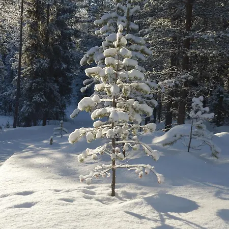 Ferienhaus Winter At Fulufjellet National Park