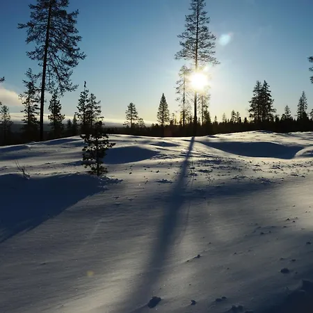 Winter At Fulufjellet National Park Ferienhaus