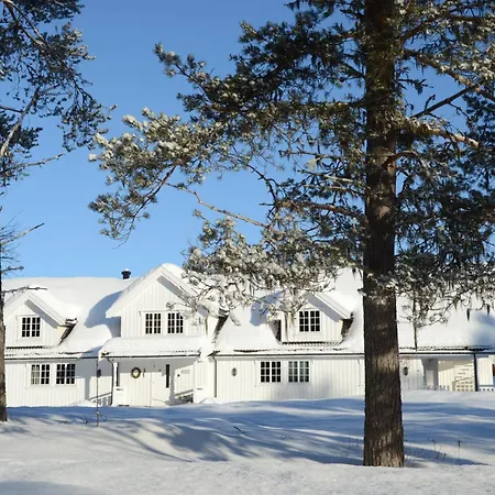 Winter At Fulufjellet National Park Ljordalen