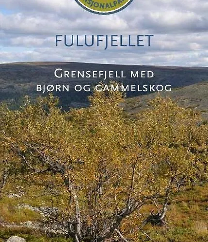 Fulufjellet Nationalpark Lodge - Fulufjellets National Parks - This Is The Place Where Norway And Sweden Meet In A Large Protected Area Ljordalen