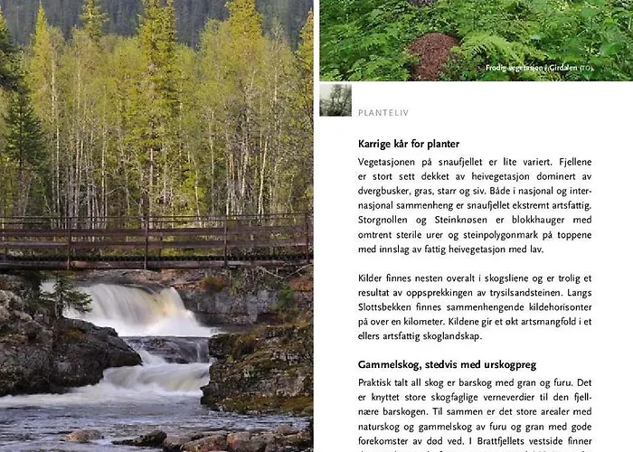 Fulufjellet Nationalpark Lodge - Fulufjellets National Parks - This Is The Place Where Norway And Sweden Meet In A Large Protected Area * Ljordalen