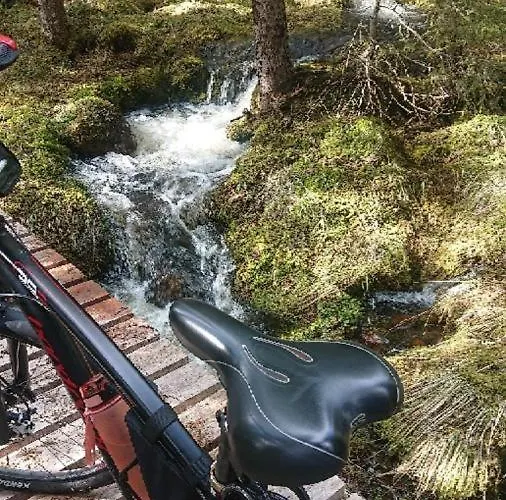 Fulufjellet Nationalpark Lodge - Fulufjellets National Parks - This Is The Place Where Norway And Sweden Meet In A Large Protected Area Ljordalen