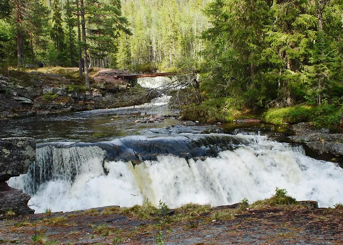 Dom wakacyjny Fulufjellet Nationalpark Lodge - Fulufjellets National Parks - This Is The Place Where Norway And Sweden Meet In A Large Protected Area