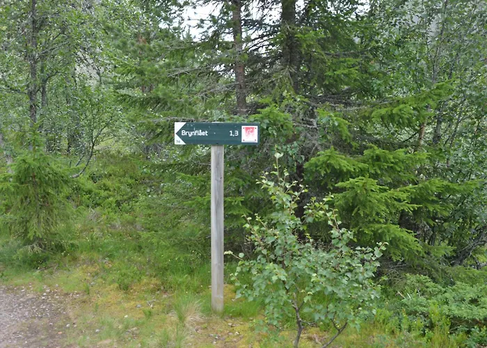 Fulufjellet Nationalpark Lodge - Fulufjellets National Parks - This Is The Place Where Norway And Sweden Meet In A Large Protected Area Dom wakacyjny *