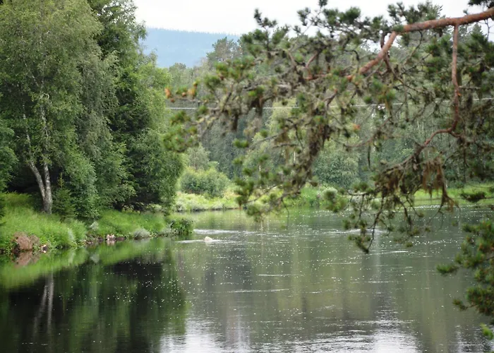 Fulufjellet Nationalpark Lodge - Fulufjellets National Parks - This Is The Place Where Norway And Sweden Meet In A Large Protected Area * Ljordalen