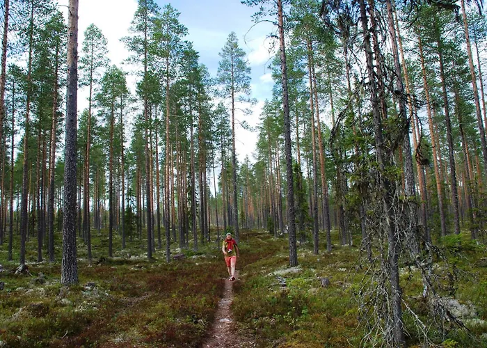 Fulufjellet Nationalpark Lodge - Fulufjellets National Parks - This Is The Place Where Norway And Sweden Meet In A Large Protected Area Dom wakacyjny *