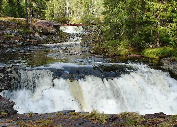 Fulufjellet Nationalpark Lodge - Fulufjellets National Parks - This Is The Place Where Norway And Sweden Meet In A Large Protected Area Dom wakacyjny Ljordalen
