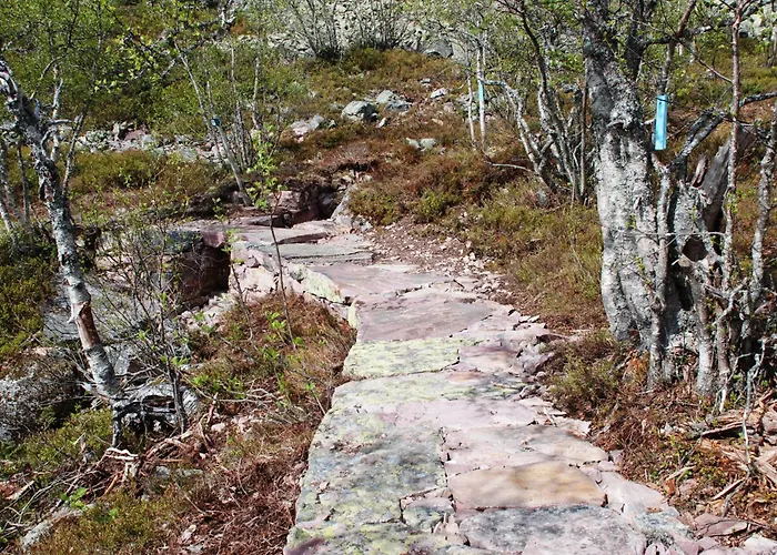 Fulufjellet Nationalpark Lodge - Fulufjellets National Parks - This Is The Place Where Norway And Sweden Meet In A Large Protected Area Dom wakacyjny *