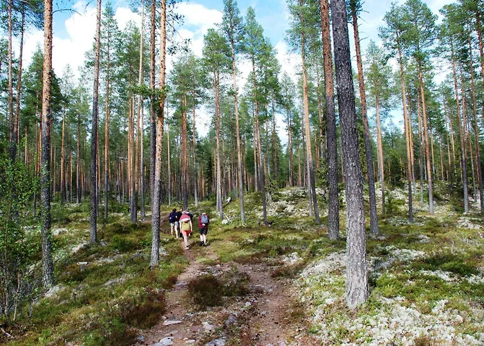 Dom wakacyjny Fulufjellet Nationalpark Lodge - Fulufjellets National Parks - This Is The Place Where Norway And Sweden Meet In A Large Protected Area Ljordalen