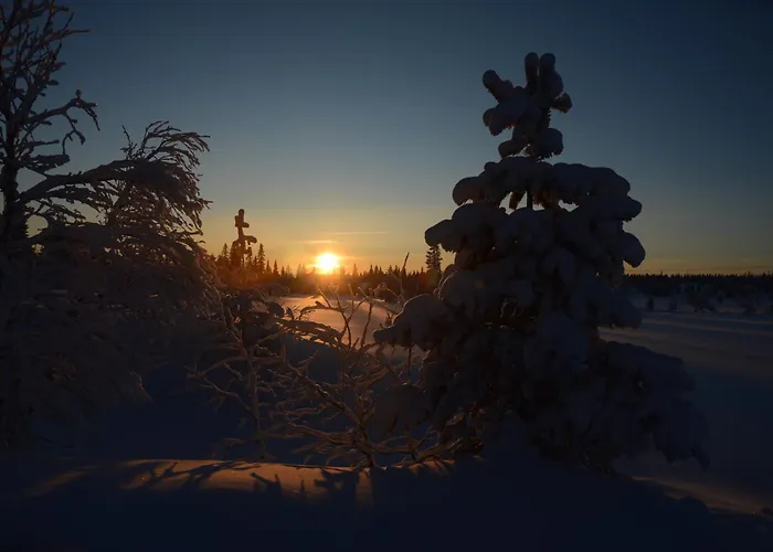 Fulufjellet Nationalpark - Of Snow, Nature And Peace Ljordalen
