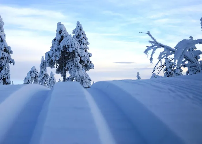 Fulufjellet Nationalpark - Of Snow, Nature And Peace *