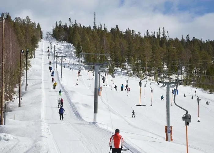 Fulufjellet Nationalpark - Of Snow, Nature And Peace Feriehus Ljordalen