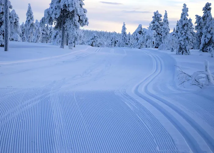 Fulufjellet Nationalpark - Of Snow, Nature And Peace Feriehus Ljordalen
