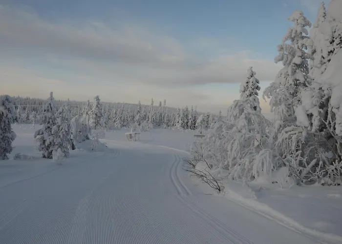 Fulufjellet Nationalpark - Of Snow, Nature And Peace Ljordalen
