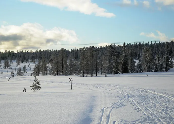 Feriehus Fulufjellet Nationalpark - Of Snow, Nature And Peace Ljordalen