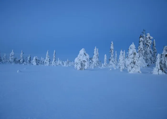 Fulufjellet Nationalpark - Of Snow, Nature And Peace Feriehus Ljordalen