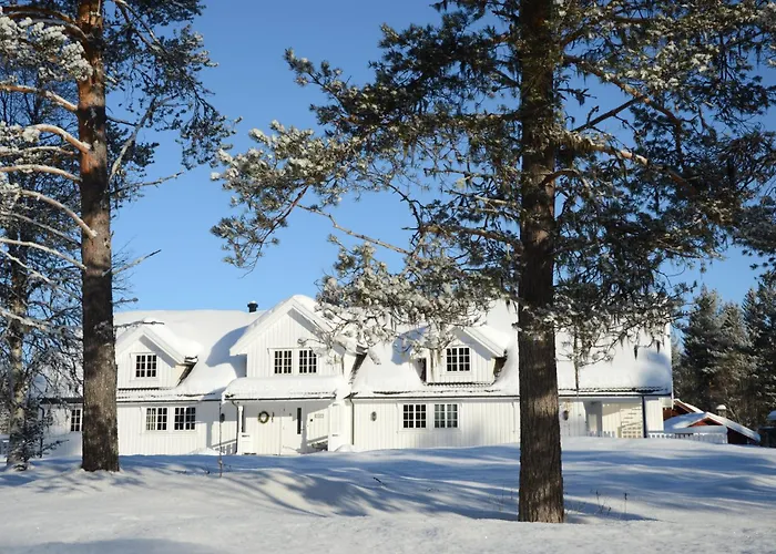 Fulufjellet Nationalpark - Of Snow, Nature And Peace * Ljordalen
