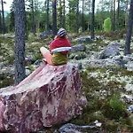 Fulufjellet Nationalpark Lodge - Fulufjellets National Parks - This Is The Place Where Norway And Sweden Meet In A Large Protected Area Ljordalen