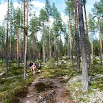 Prázdninový dům Fulufjellet Nationalpark Lodge - Fulufjellets National Parks - This Is The Place Where Norway And Sweden Meet In A Large Protected Area Ljordalen
