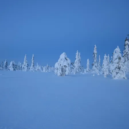 Fulufjellet Nationalpark - Of Snow, Nature And Peace Casa de Férias Ljordalen