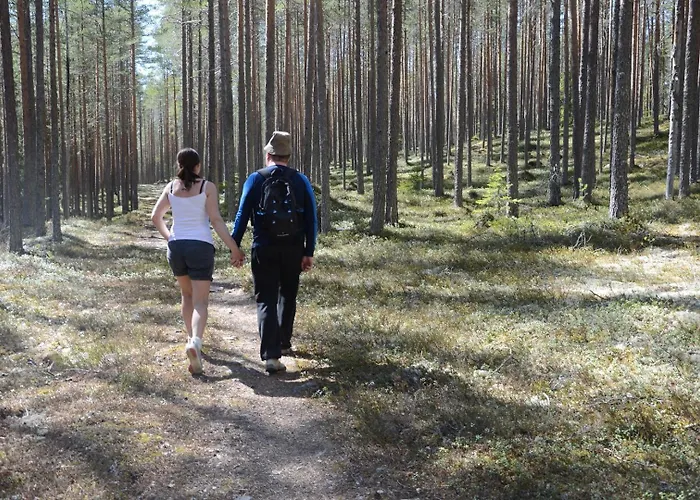 Fulufjellet Nationalpark - Of Snow, Nature And Peace