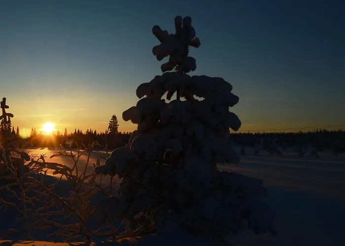 Fulufjellet Nationalpark - Of Snow, Nature And Peace Ljordalen