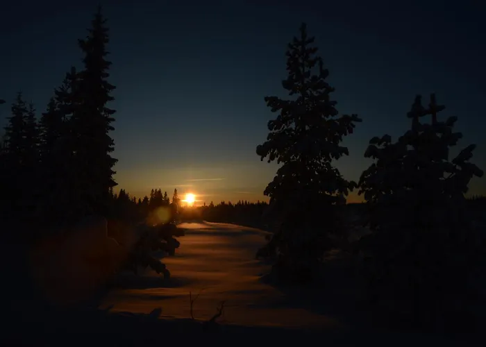 Fulufjellet Nationalpark - Of Snow, Nature And Peace Casa de Férias *