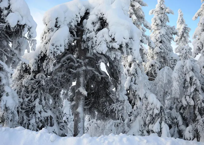 Fulufjellet Nationalpark - Of Snow, Nature And Peace Casa de Férias *