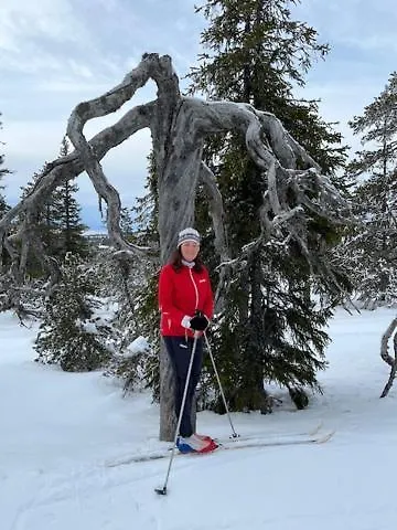 Casa de Férias Fulufjellet Nationalpark - Of Snow, Nature And Peace *