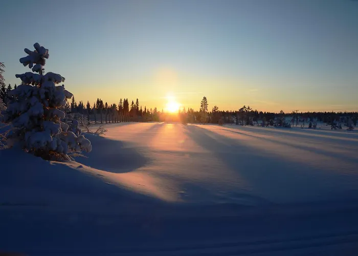 Fulufjellet Nationalpark - Of Snow, Nature And Peace * Ljordalen