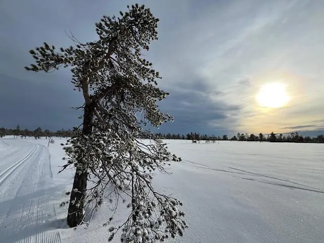 Fulufjellet Nationalpark - Of Snow, Nature And Peace *