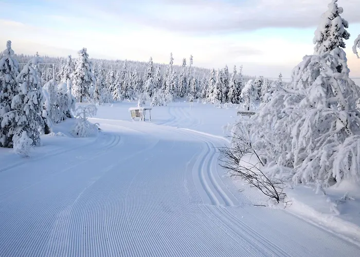 Fulufjellet Nationalpark - Of Snow, Nature And Peace Ljordalen