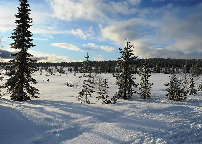 Fulufjellet Nationalpark - Of Snow, Nature And Peace * Ljordalen