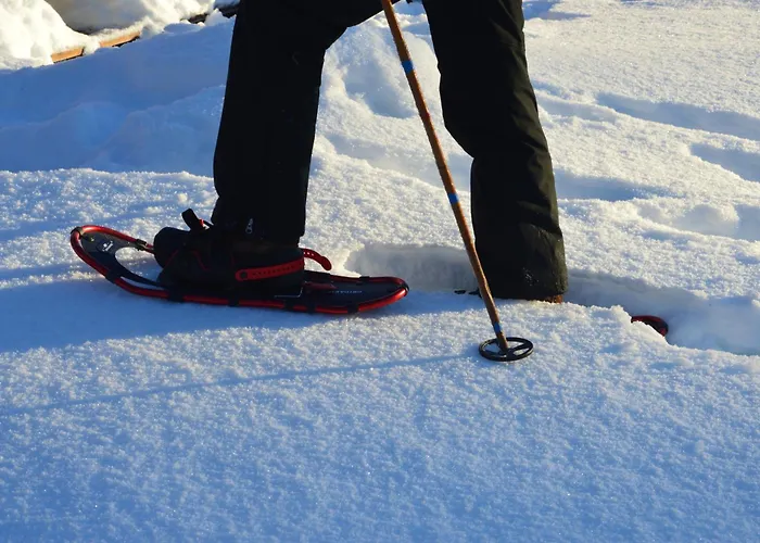 Fulufjellet Nationalpark - Of Snow, Nature And Peace Casa de Férias Ljordalen